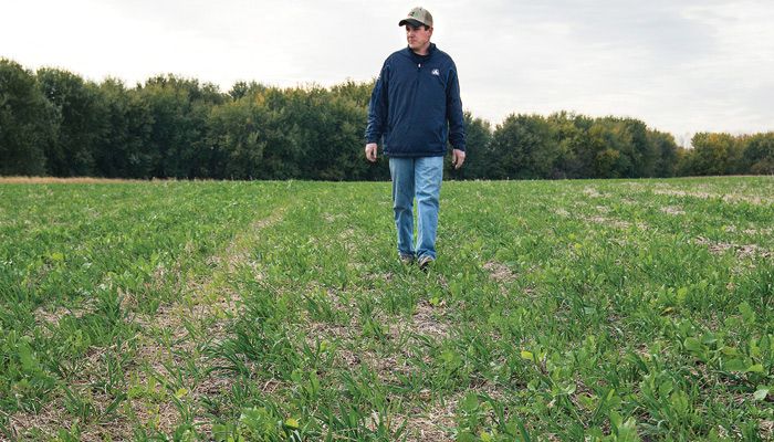 Cover crops