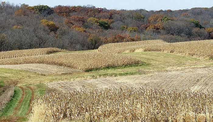 March 29 Crop Webinars: Nitrogen Management and USDA Report Recap