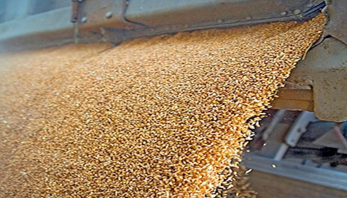Iowa Corn and Soybean Basis Maps