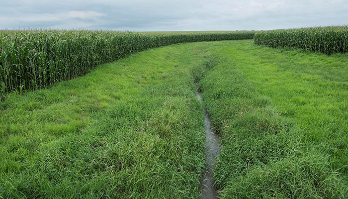 New conservation field days announced the week of 9/21