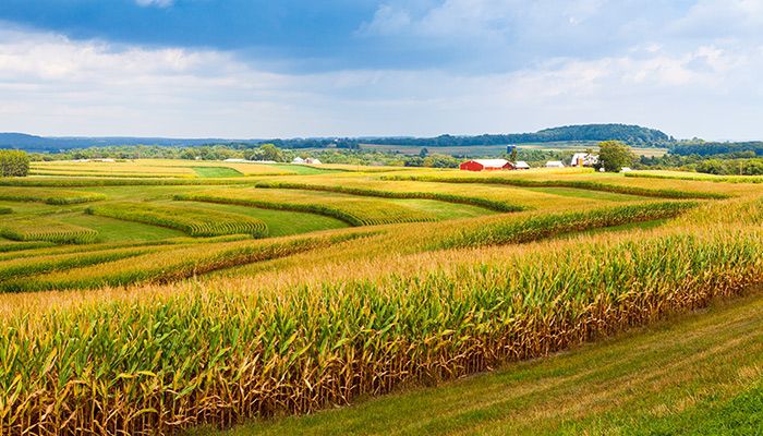 Iowa farm