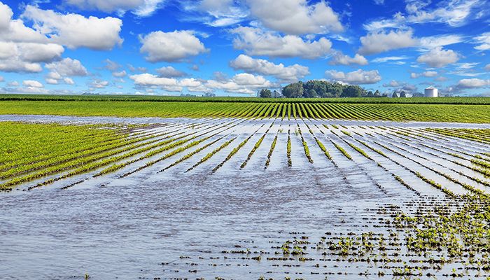 Prevent plant for corn and soybeans, 2007-2018