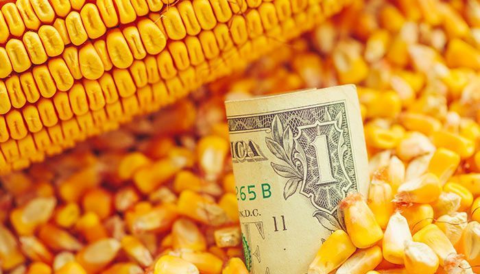 How to get $4 Corn workshop - Manchester, IA (POSTPONED)