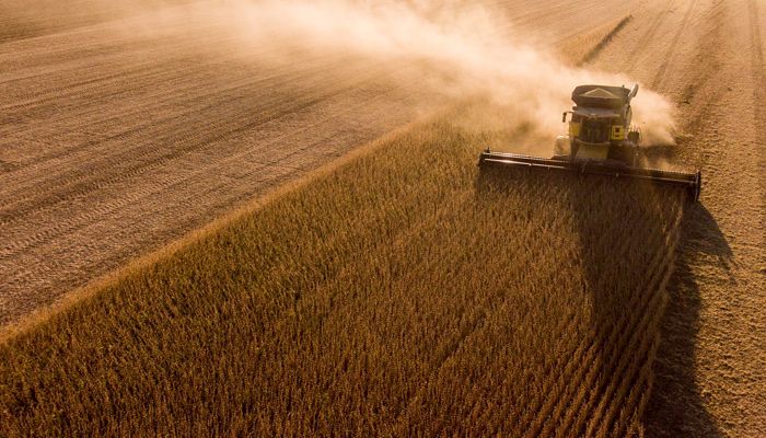 Harvest