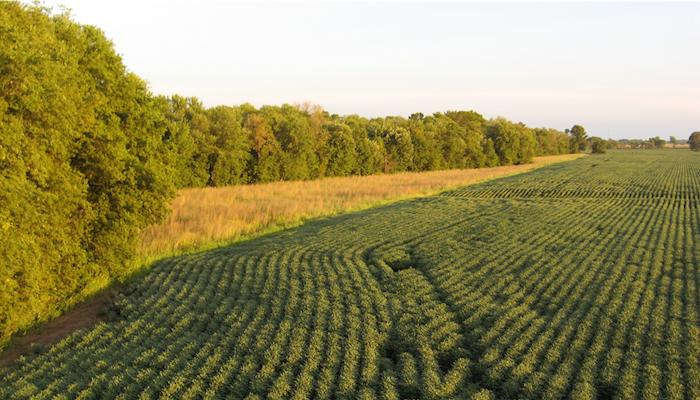 Conservation, Water Quality Opportunities Available on Working Lands Through EQIP