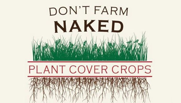 Don't Farm Naked logo