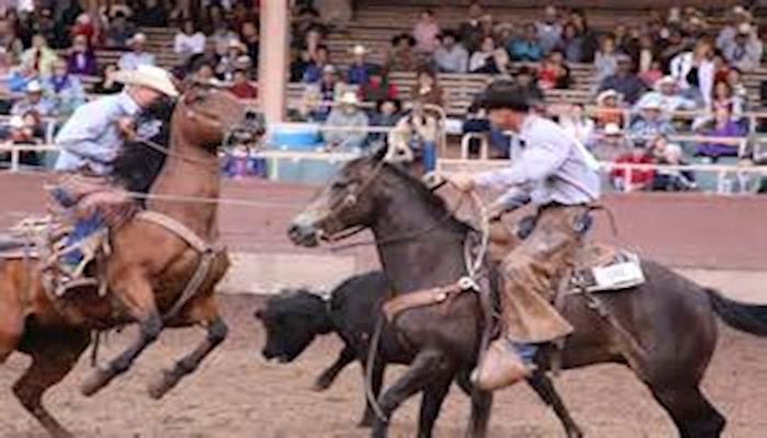 Ranch Rodeo to be held at DMC Fair