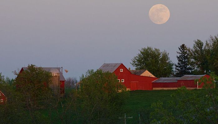 Timely information for stressful ag times