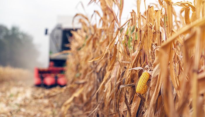 Safety and Stress Management in the 2020 Harvest Season 