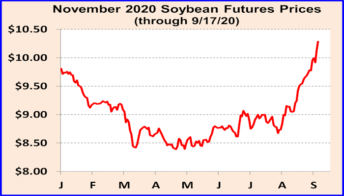 Still considering storing soybeans?