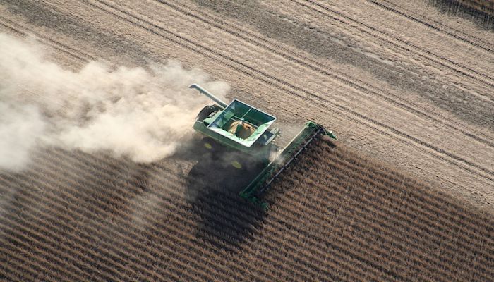 Harvest time in Wright County