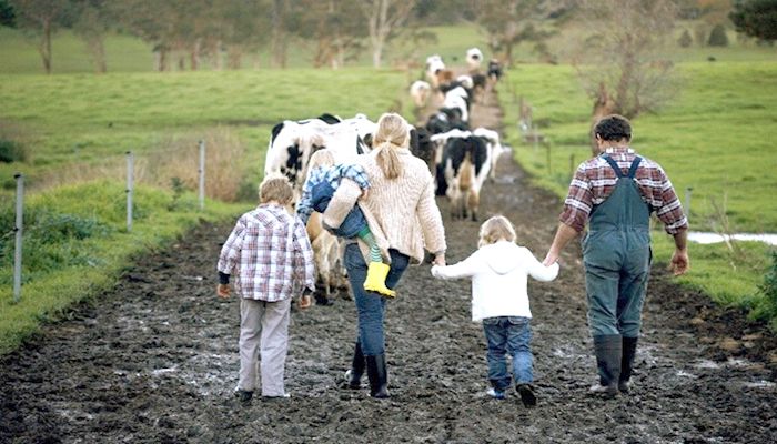 Start to Farm Series for new and early career dairy farmers begins Nov. 17 at Dordt College