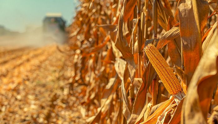 2021 Crop Insurance and Pre-Harvest Marketing