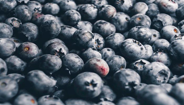 American Farm Bureau disappointed in blueberry investigation ruling