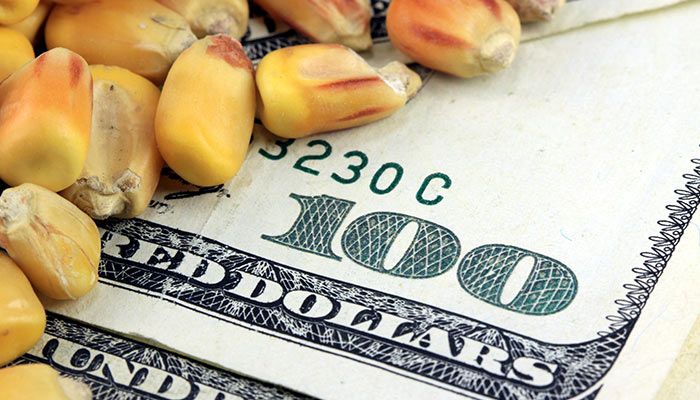 Grain Stocks & Planting Intentions: Market Implications