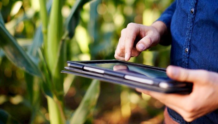 Attributes of successful grain farmers