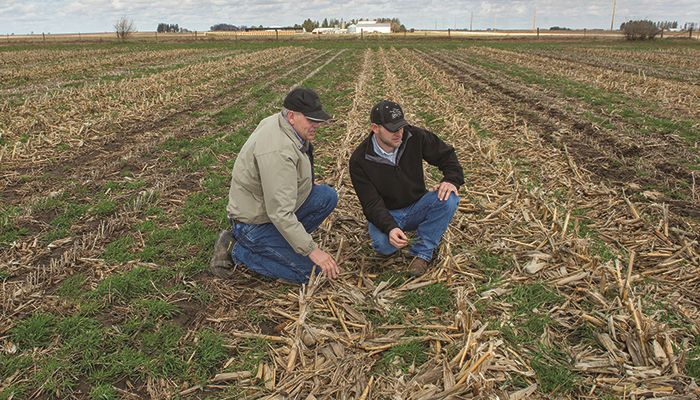 USDA announces crop insurance premium support for farmers who planted cover crops during this crop year