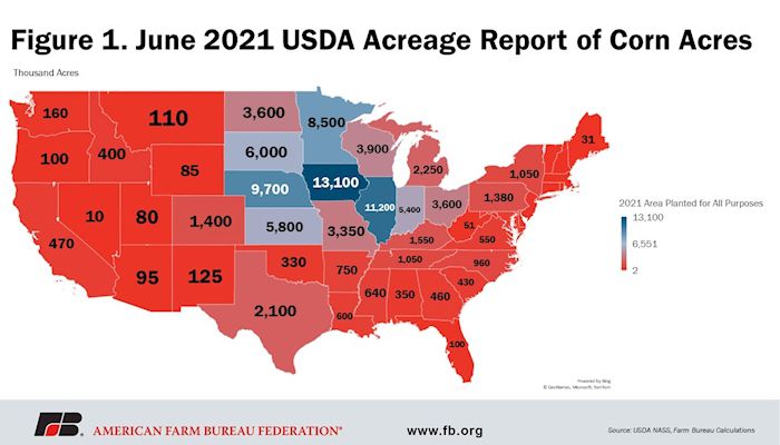 June Acreage Report Bumps Corn Planted Acres up Slightly, Other Principal Crop Estimates Largely Unchanged