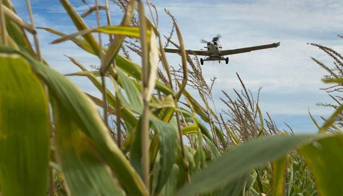 Plane flying over corn field. 