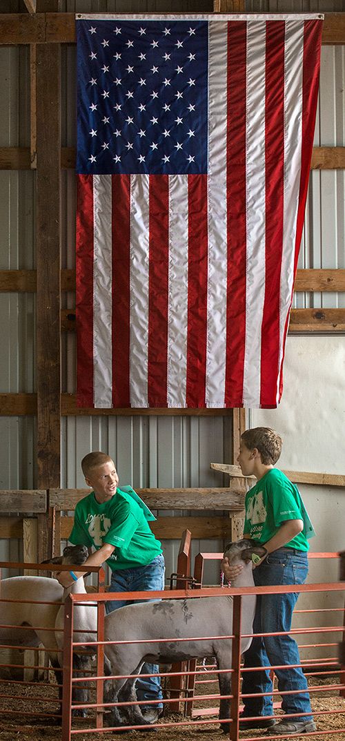 Market sheep contestants share tips at the Butler County Fair.