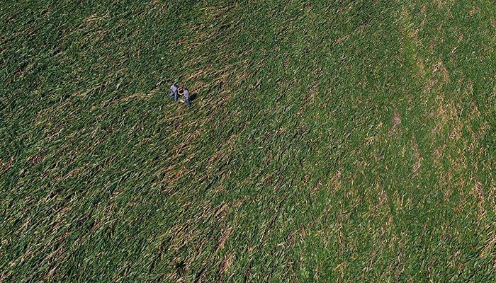 Farmers Shonda Hahn and Jeret Jiras survey their crop damage in Johnson County.