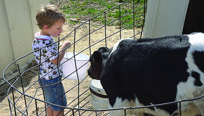 New Day Dairy family farm