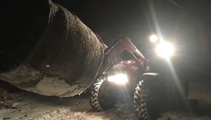 Colin Johnson, Wapello County, caring for cattle in frigid weather