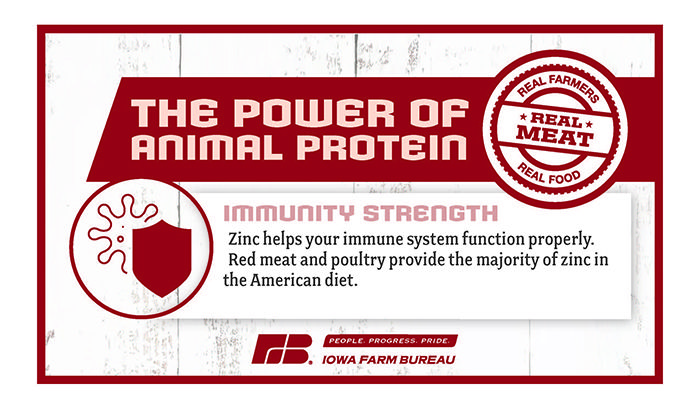 Animal protein helps boost immunity
