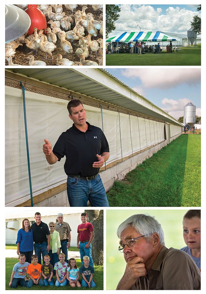 Iowa farm affected by avian (bird) flu begins restocking