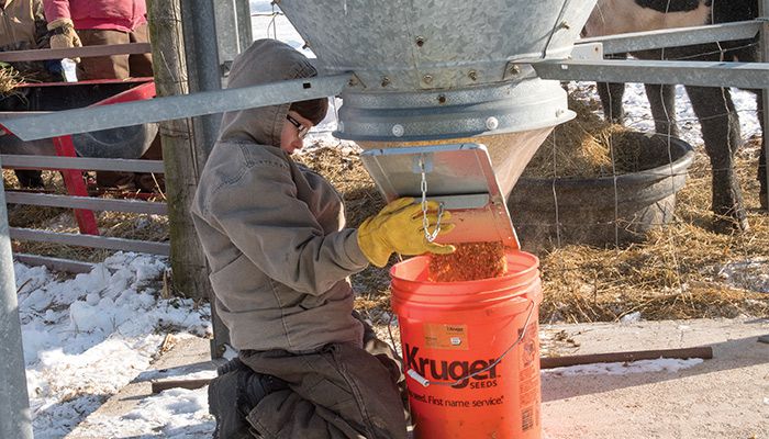 Dietrich filling bucket of feed