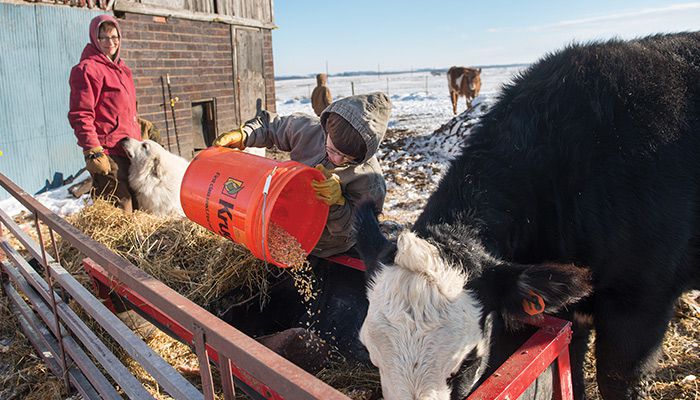 Dietrich Woodley feeding cattle