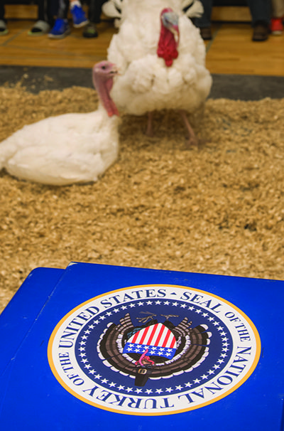 Seal of the National Turkey of the United States