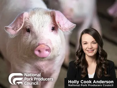 2026 Hog Market Update and Outlook