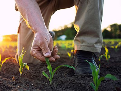 Planting and Growing Season 2023 – What Can We Say About Drought, La Niña and Other Issues?