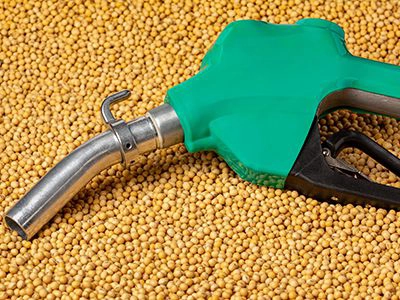 Soybeans, Renewable Diesel, and the Future Webinar