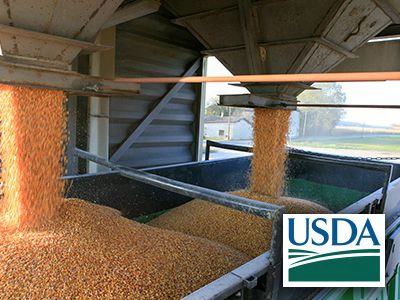 July 2023 WASDE & June 1 Grain Stocks Review & Insights Webinar