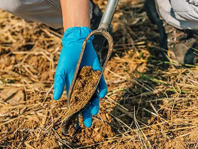 Why it Pays to Test Your Soil Nitrogen