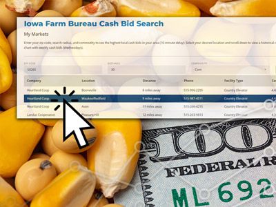 Iowa Farm Bureau Cash Bid Search