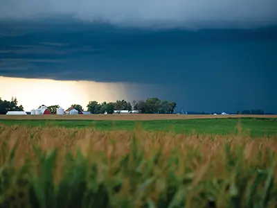 Preparing for Super El Niño: Protecting Water and Your Nutrient Investment