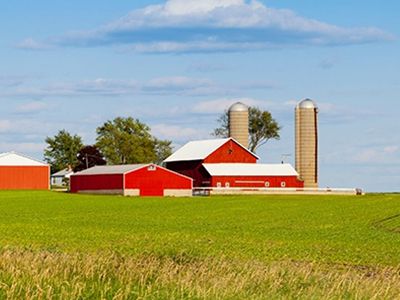 Navigating the Cycles of Agriculture, Where Have We Come From and Where Are We Going From Here? 