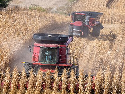 How to Write a Post-Harvest Marketing Plan 