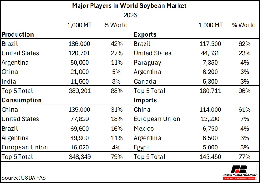 Major Players in World Soybean Market 2026