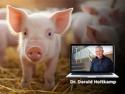 An Update on Porcine Reproductive and Respiratory Syndrome (PRRS) (Webinar)