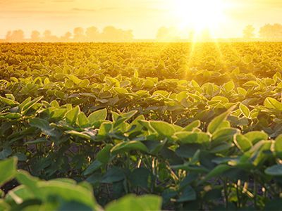 Crop Insurance - 2023 Spring Farmer Meeting