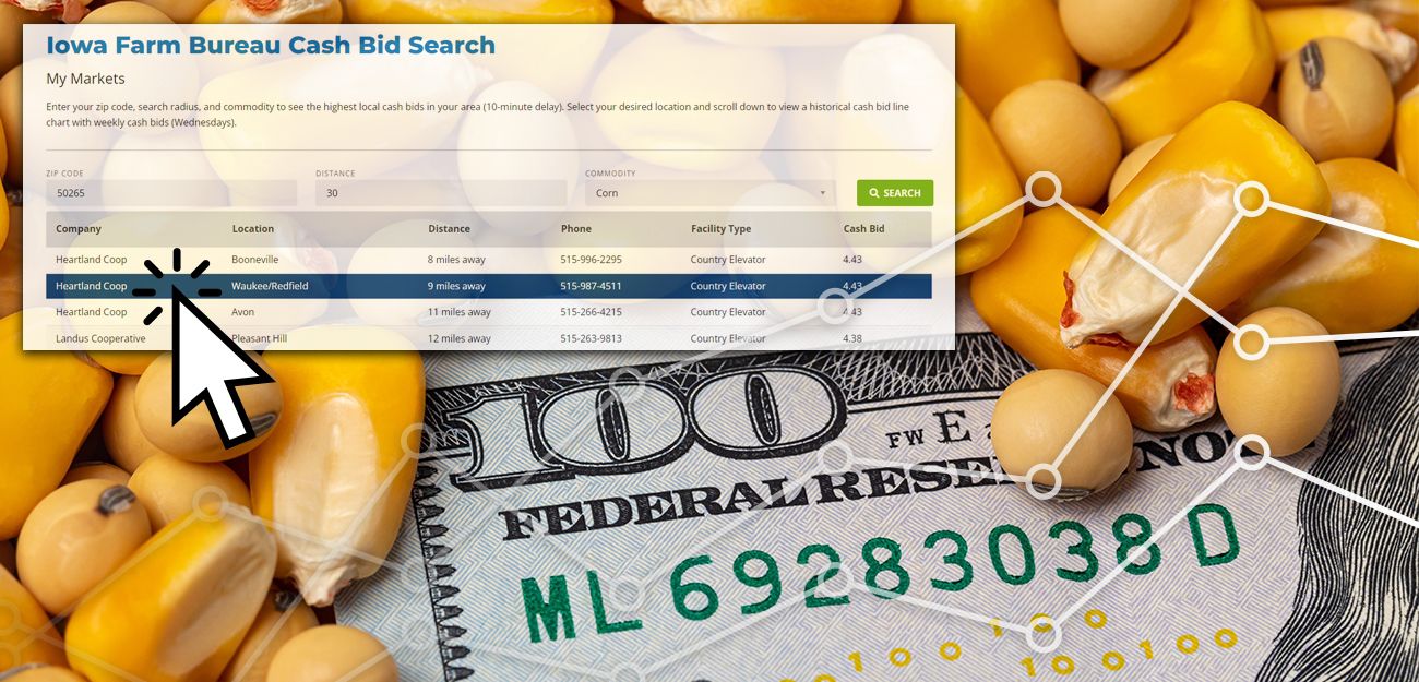 Search Local Cash Bids with Exclusive Member Tool 