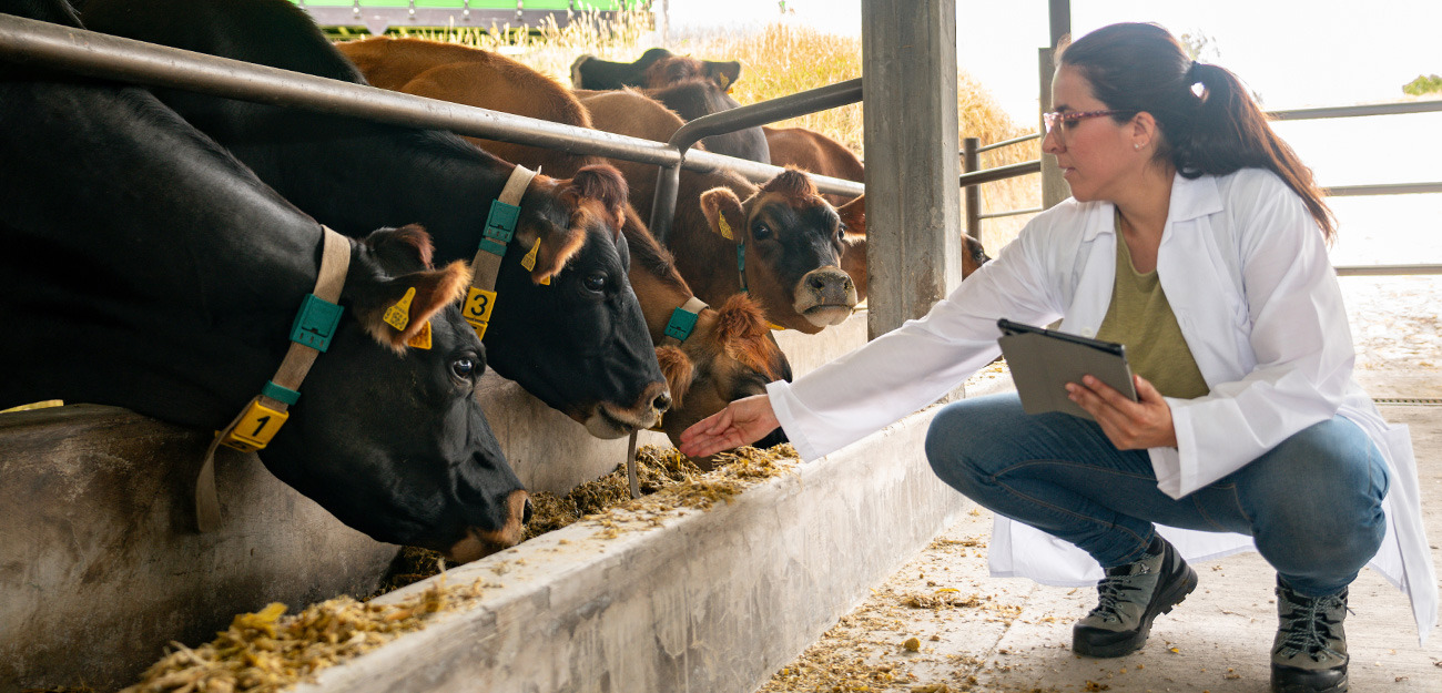 Apply Now for the Veterinarian Loan Repayment Program