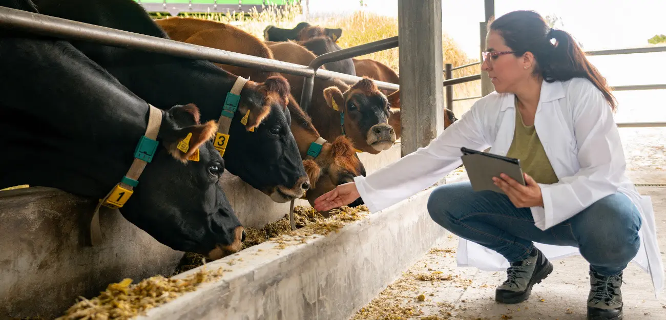 Apply Now for the Veterinarian Loan Repayment Program