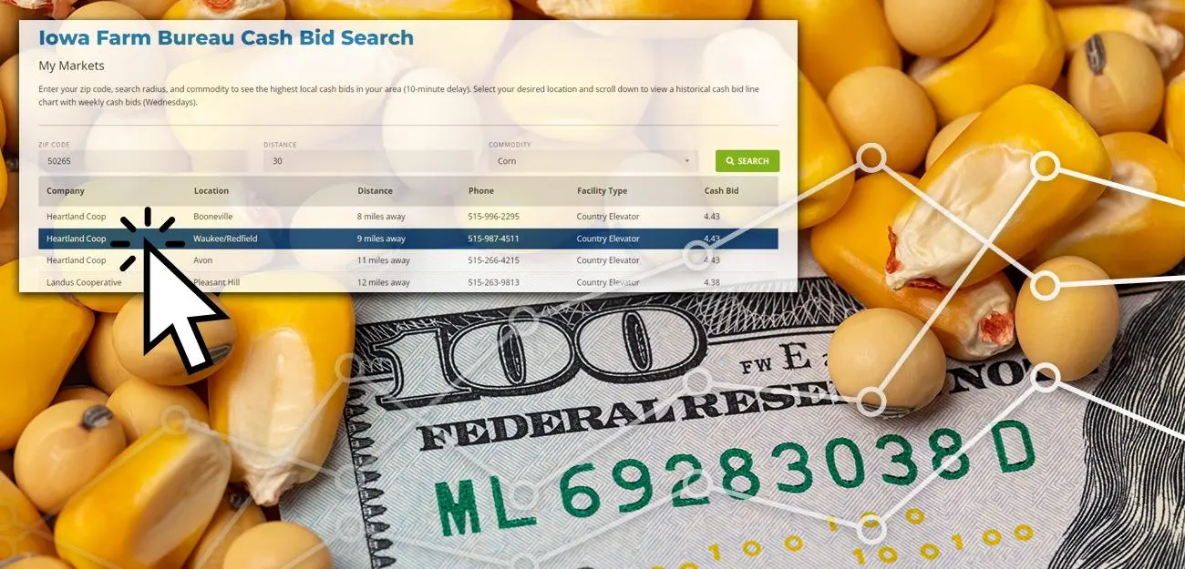 Search Local Cash Bids with Exclusive Member Tool 