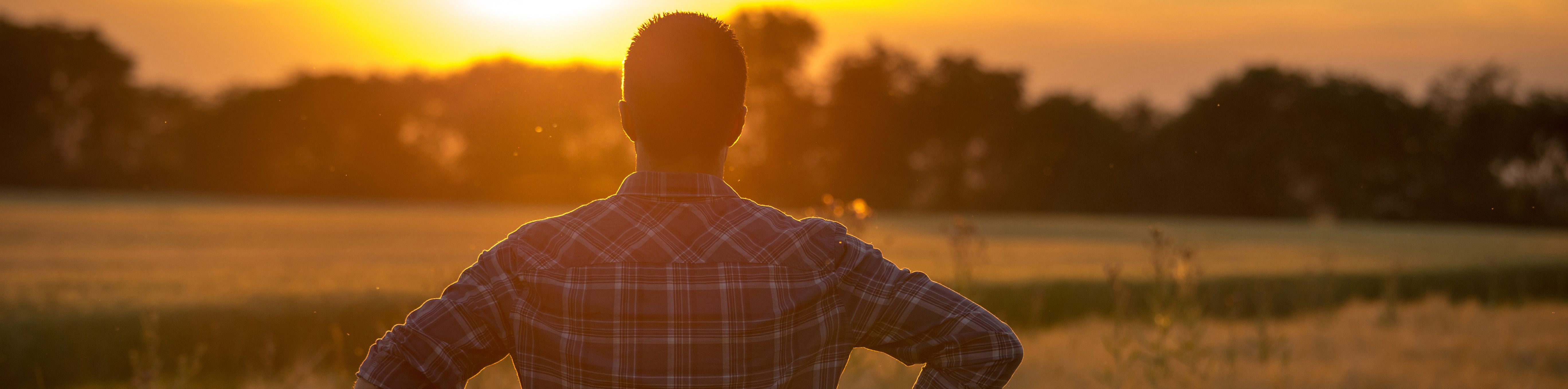 Farmer staring at sunset.