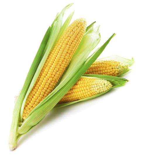 Corn